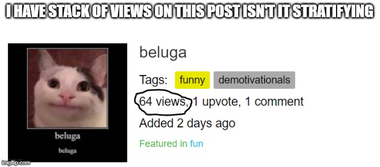 I have stack of views on this post | I HAVE STACK OF VIEWS ON THIS POST ISN'T IT STRATIFYING | image tagged in beluga | made w/ Imgflip meme maker