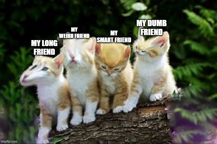 all my types of friends | MY WEIRD FRIEND; MY DUMB FRIEND; MY SMART FRIEND; MY LONG FRIEND | image tagged in cats,me and the boys | made w/ Imgflip meme maker
