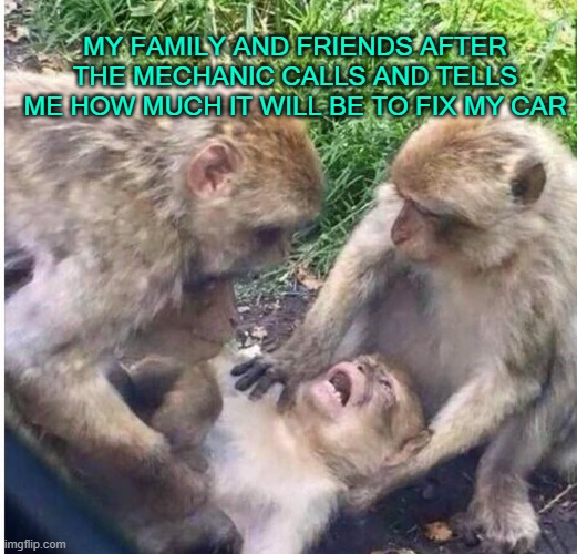 Car Problems | MY FAMILY AND FRIENDS AFTER THE MECHANIC CALLS AND TELLS ME HOW MUCH IT WILL BE TO FIX MY CAR | image tagged in shocked monkey | made w/ Imgflip meme maker