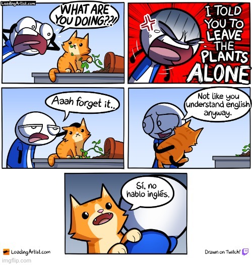 Cat messing with plants | image tagged in plants,plant,cats,cat,comics,comics/cartoons | made w/ Imgflip meme maker