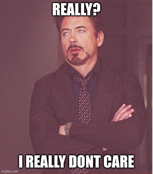 Face You Make Robert Downey Jr | REALLY? I REALLY DONT CARE | image tagged in memes,face you make robert downey jr | made w/ Imgflip meme maker