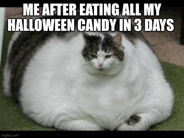I ate the bottom text too | ME AFTER EATING ALL MY HALLOWEEN CANDY IN 3 DAYS | image tagged in fat cat 2,spooktober,candy,halloween,fat cat | made w/ Imgflip meme maker