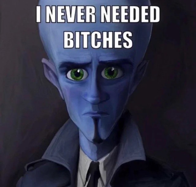 Megamind I Never Needed Bitches Blank Template Imgflip 3725