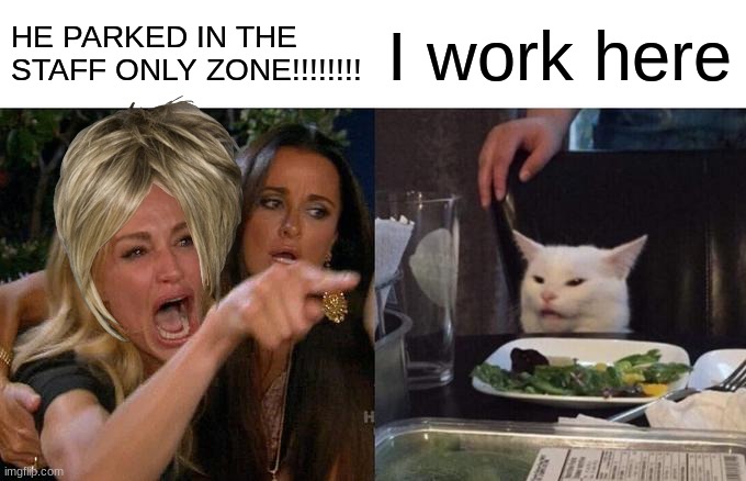 karen got underestimated | HE PARKED IN THE STAFF ONLY ZONE!!!!!!!! I work here | image tagged in memes,woman yelling at cat,karen | made w/ Imgflip meme maker
