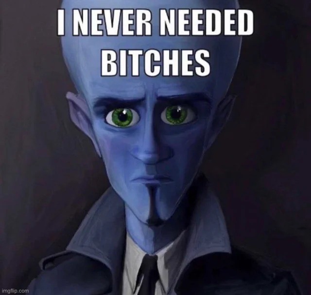 Megamind I never needed bitches | image tagged in megamind i never needed bitches | made w/ Imgflip meme maker