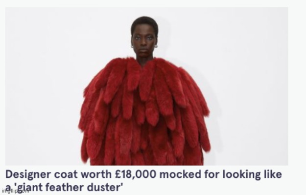 Feather Duster Coat | image tagged in feather duster coat | made w/ Imgflip meme maker