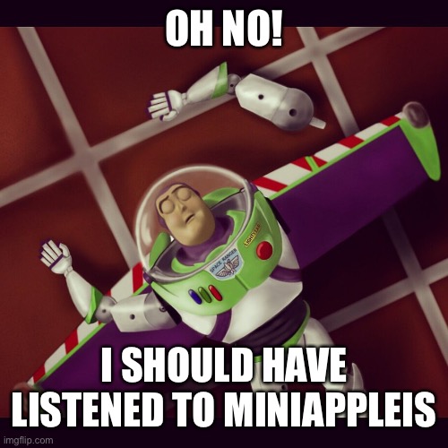 buzz lightyear broken arm | OH NO! I SHOULD HAVE LISTENED TO MINIAPPLEIS | image tagged in buzz lightyear broken arm | made w/ Imgflip meme maker