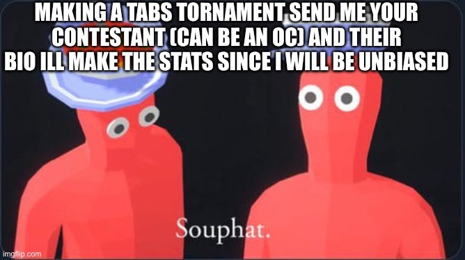 You cant because yall make them op as hell | MAKING A TABS TORNAMENT SEND ME YOUR CONTESTANT (CAN BE AN OC) AND THEIR BIO ILL MAKE THE STATS SINCE I WILL BE UNBIASED | image tagged in souphat | made w/ Imgflip meme maker