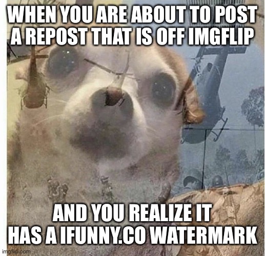I SPOT A IFUNNY.CO WATERMARK | WHEN YOU ARE ABOUT TO POST A REPOST THAT IS OFF IMGFLIP; AND YOU REALIZE IT HAS A IFUNNY.CO WATERMARK | image tagged in ptsd chihuahua,memes,funy,imgflip,ifunny,relatable | made w/ Imgflip meme maker