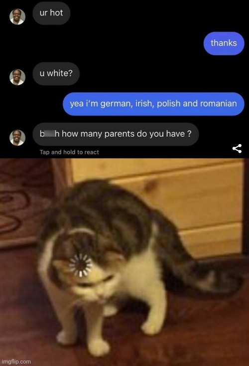*loading symbol intensifies* | image tagged in loading cat,what,wtf,visible confusion,memes,meme | made w/ Imgflip meme maker