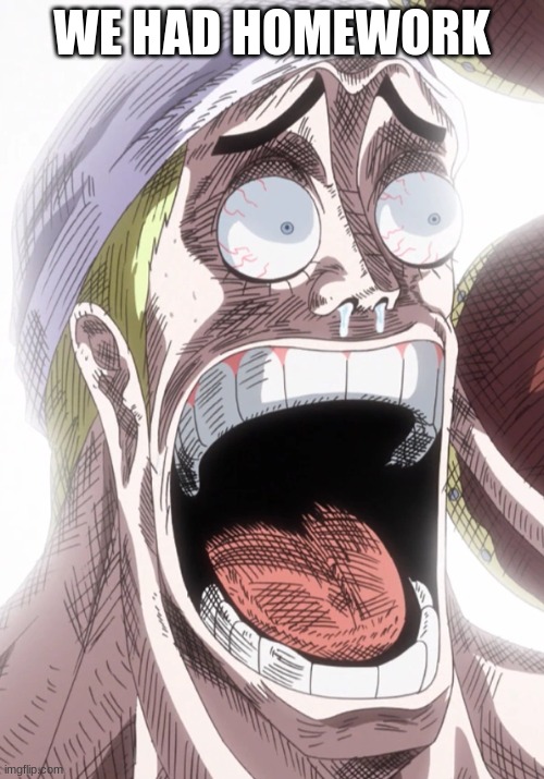 One Piece Enel Shocked | WE HAD HOMEWORK | image tagged in one piece enel shocked | made w/ Imgflip meme maker