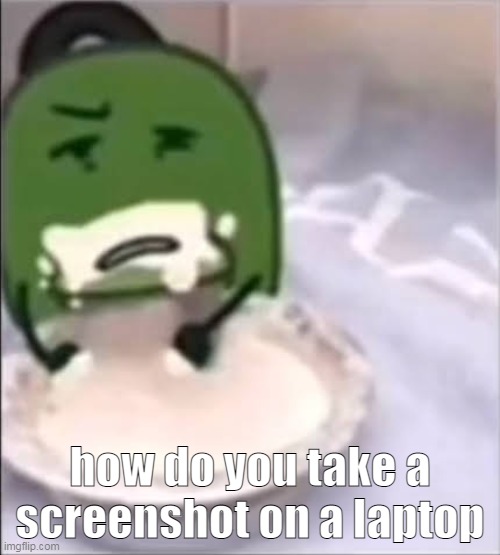 i know the f4 thing btw | how do you take a screenshot on a laptop | image tagged in liam creampie | made w/ Imgflip meme maker