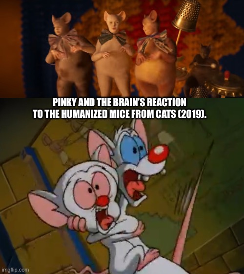 Mice the Movie Musical? | PINKY AND THE BRAIN’S REACTION TO THE HUMANIZED MICE FROM CATS (2019). | image tagged in cats,pinky and the brain,musicals,memes | made w/ Imgflip meme maker