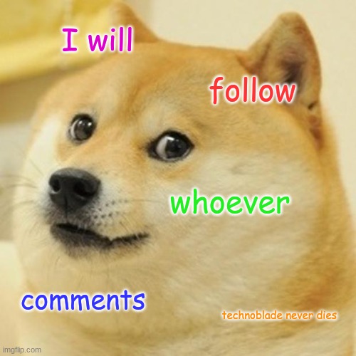 Doge | I will; follow; whoever; comments; technoblade never dies | image tagged in memes,doge | made w/ Imgflip meme maker