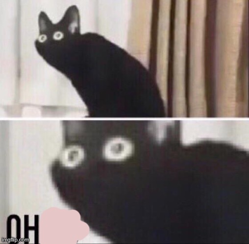 Oh no cat | image tagged in oh no cat | made w/ Imgflip meme maker