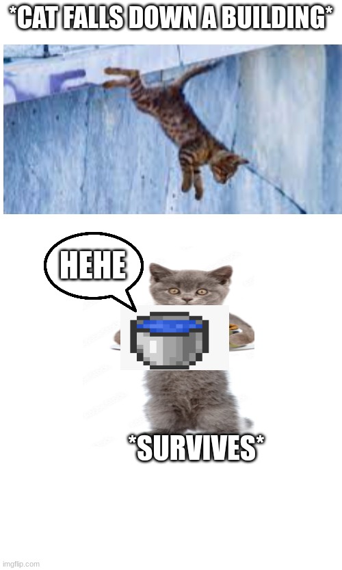 cat with water bucket | *CAT FALLS DOWN A BUILDING*; HEHE; *SURVIVES* | image tagged in minecraft,memes,cat | made w/ Imgflip meme maker