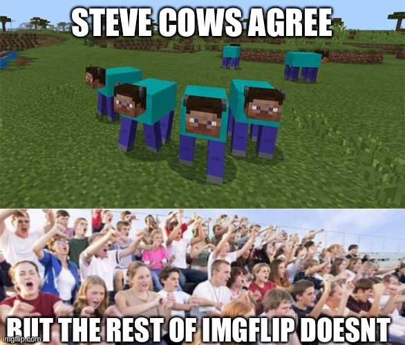 STEVE COWS AGREE BUT THE REST OF IMGFLIP DOESNT | image tagged in me and the boys,crowd booing | made w/ Imgflip meme maker