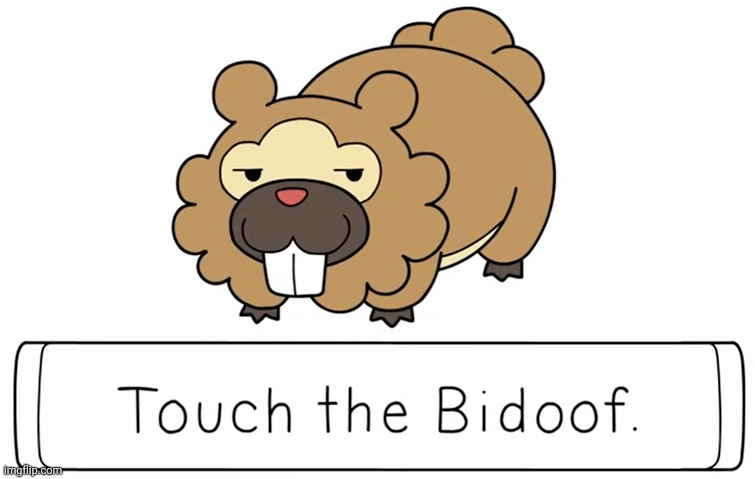 would you touch the bidoof | image tagged in lol,pokemon | made w/ Imgflip meme maker