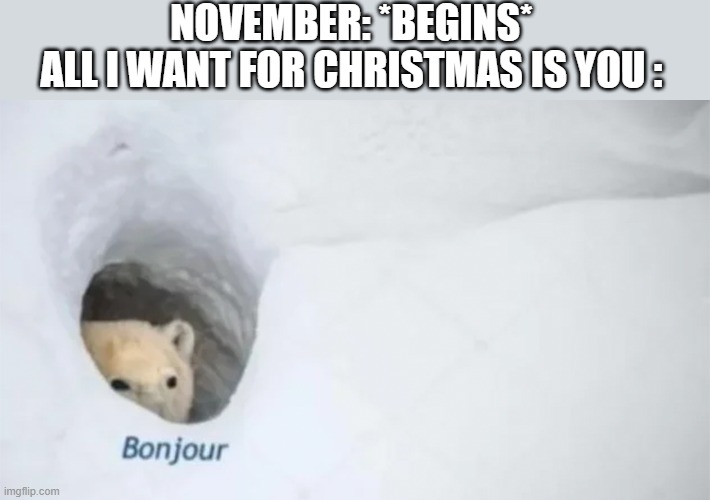 Who hates this? | NOVEMBER: *BEGINS*
ALL I WANT FOR CHRISTMAS IS YOU : | image tagged in bonjur | made w/ Imgflip meme maker