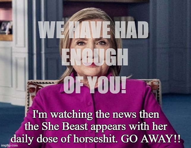 WE HAVE HAD; ENOUGH; OF YOU! I'm watching the news then the She Beast appears with her daily dose of horseshit. GO AWAY!! | made w/ Imgflip meme maker