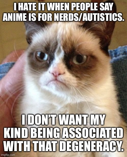 I am a nerd and an autistic. | I HATE IT WHEN PEOPLE SAY ANIME IS FOR NERDS/AUTISTICS. I DON’T WANT MY KIND BEING ASSOCIATED WITH THAT DEGENERACY. | image tagged in memes,grumpy cat,autism,nerd,AnimeHate | made w/ Imgflip meme maker