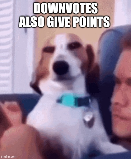 DOWNVOTES ALSO GIVE POINTS | made w/ Imgflip meme maker