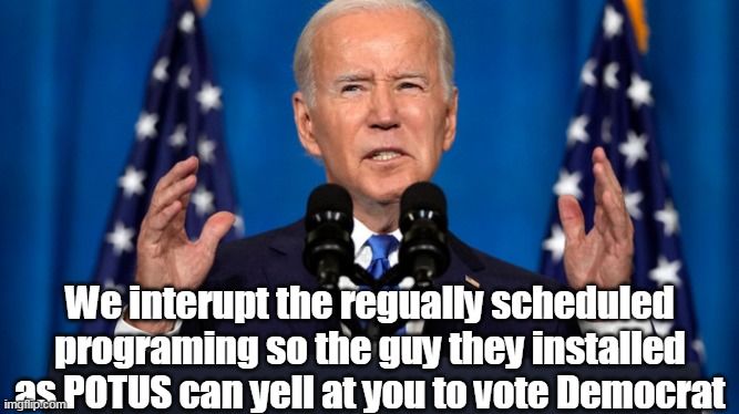 The Balls HE"S THE ONE THAT'S PISSED OFF ! | We interupt the regually scheduled programing so the guy they installed as POTUS can yell at you to vote Democrat | image tagged in get off my lawn brandon | made w/ Imgflip meme maker