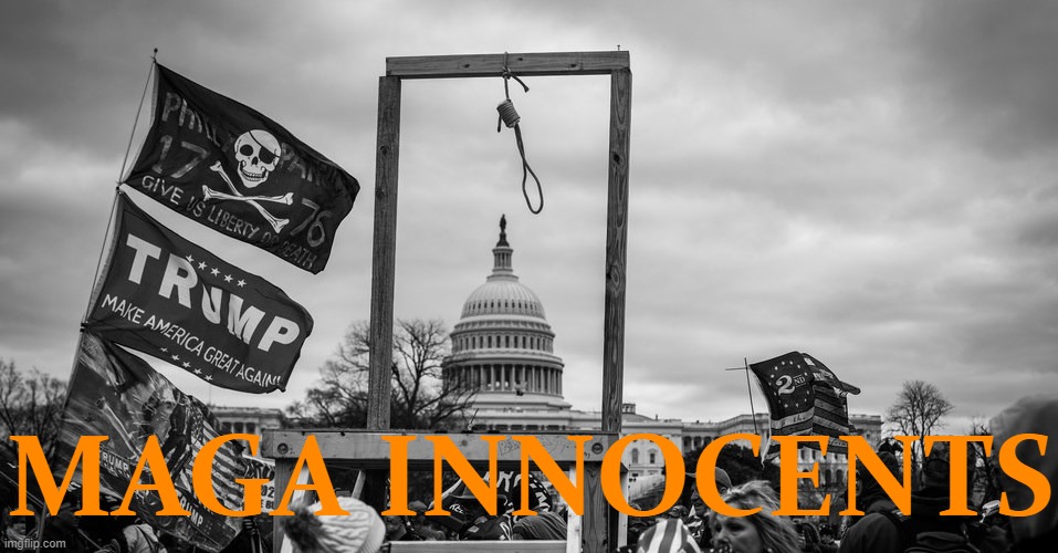 Capitol Hill riot gallows | MAGA INNOCENTS | image tagged in capitol hill riot gallows | made w/ Imgflip meme maker