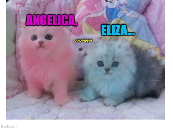 This basically summarizes the Schuyler sisters... |  ANGELICA, ELIZA... AND PEGGY | image tagged in hamilton,kittens,cats,sisters | made w/ Imgflip meme maker