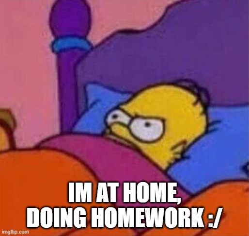 i hate homework | IM AT HOME, DOING HOMEWORK :/ | image tagged in angry homer simpson in bed | made w/ Imgflip meme maker