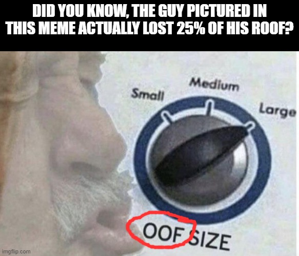 What a Loss | DID YOU KNOW, THE GUY PICTURED IN THIS MEME ACTUALLY LOST 25% OF HIS ROOF? | image tagged in oof size large | made w/ Imgflip meme maker