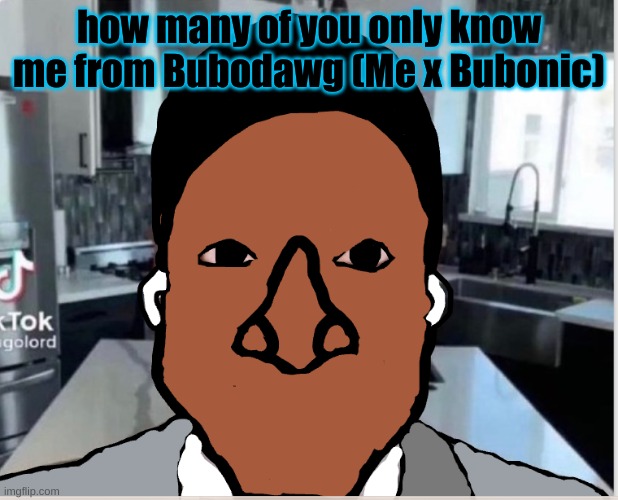 n | how many of you only know me from Bubodawg (Me x Bubonic) | image tagged in n | made w/ Imgflip meme maker