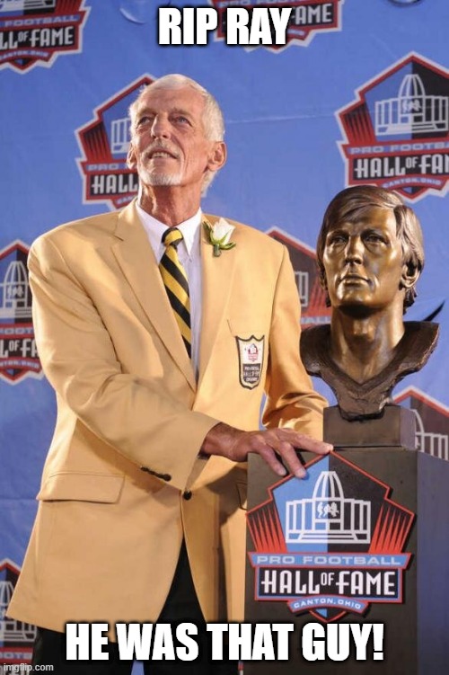 RIP Ray Guy | RIP RAY; HE WAS THAT GUY! | image tagged in nfl | made w/ Imgflip meme maker