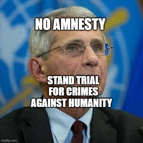 Fauci1 | NO AMNESTY; STAND TRIAL FOR CRIMES AGAINST HUMANITY | image tagged in fauci1 | made w/ Imgflip meme maker