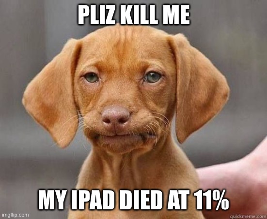 MFW WELP | PLIZ KILL ME; MY IPAD DIED AT 11% | image tagged in mfw welp | made w/ Imgflip meme maker