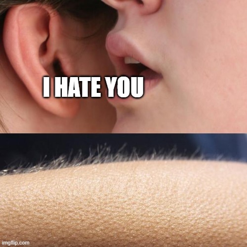Whisper and Goosebumps |  I HATE YOU | image tagged in whisper and goosebumps,hate,haters,i hate you | made w/ Imgflip meme maker