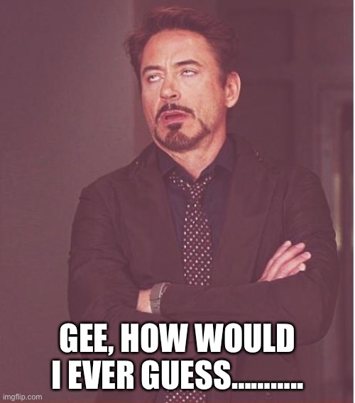 Face You Make Robert Downey Jr Meme | GEE, HOW WOULD I EVER GUESS……….. | image tagged in memes,face you make robert downey jr | made w/ Imgflip meme maker