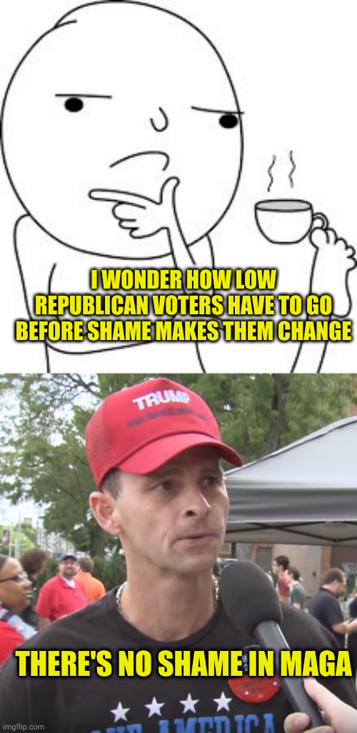 Just joking! Or am I? | I WONDER HOW LOW REPUBLICAN VOTERS HAVE TO GO BEFORE SHAME MAKES THEM CHANGE; THERE'S NO SHAME IN MAGA | image tagged in asking the real questions here,trump supporter | made w/ Imgflip meme maker