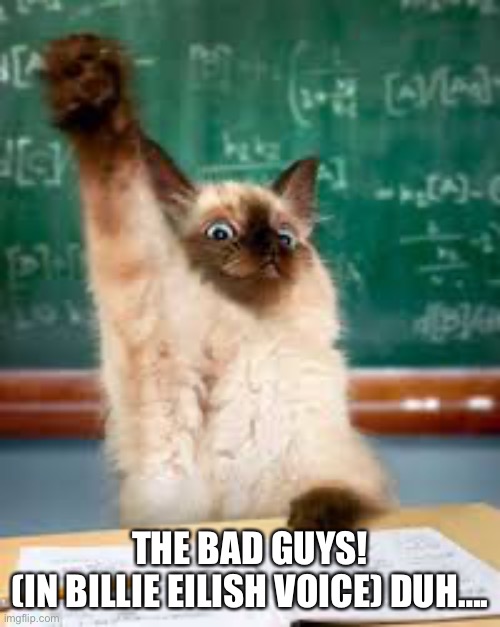 Raised hand cat | THE BAD GUYS!
(IN BILLIE EILISH VOICE) DUH…. | image tagged in raised hand cat | made w/ Imgflip meme maker