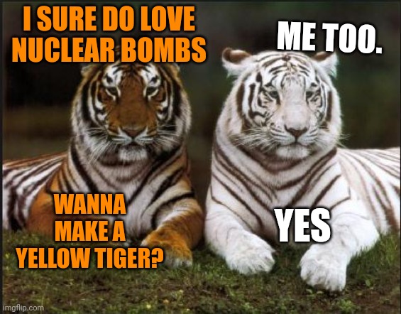 Two tigers | ME TOO. I SURE DO LOVE NUCLEAR BOMBS; WANNA MAKE A YELLOW TIGER? YES | image tagged in two tigers,tigers,love,nuclear,bombs | made w/ Imgflip meme maker