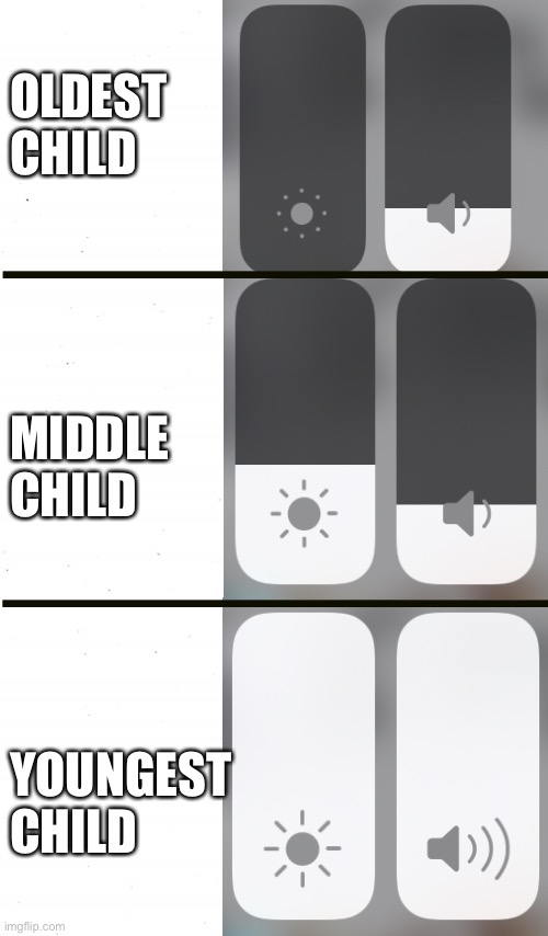 No offense |  OLDEST CHILD; MIDDLE CHILD; YOUNGEST CHILD | image tagged in plain white | made w/ Imgflip meme maker