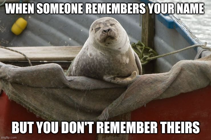 seel | WHEN SOMEONE REMEMBERS YOUR NAME; BUT YOU DON'T REMEMBER THEIRS | image tagged in seel | made w/ Imgflip meme maker