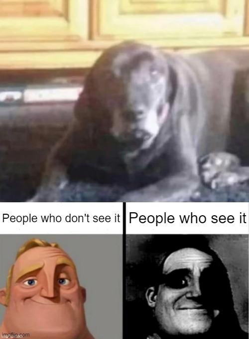 People who don't see it; People who see it | image tagged in people who don't know vs people who know | made w/ Imgflip meme maker