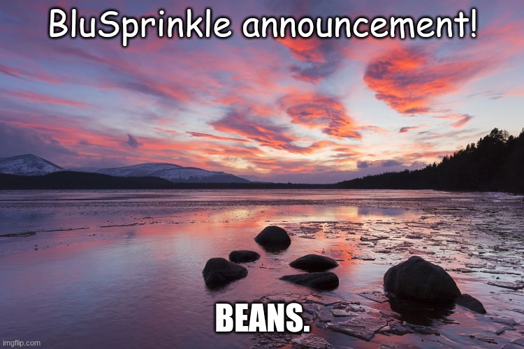 yes | BluSprinkle announcement! BEANS. | image tagged in blusprinkle announcement template | made w/ Imgflip meme maker