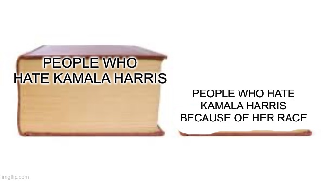 She could be a white Norwegian for all they care | PEOPLE WHO HATE KAMALA HARRIS BECAUSE OF HER RACE; PEOPLE WHO HATE KAMALA HARRIS | image tagged in big book small book,kamala harris,racism | made w/ Imgflip meme maker