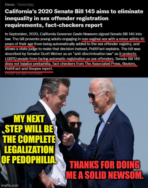 Legalization of Pedophilia is next | MY NEXT STEP WILL BE THE COMPLETE LEGALIZATION OF PEDOPHILIA. THANKS FOR DOING ME A SOLID NEWSOM. | image tagged in newsom,joe biden,pedophiles,pedophilia | made w/ Imgflip meme maker