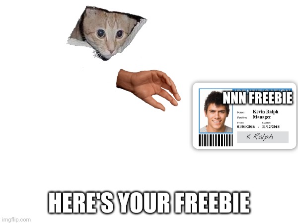 HERE'S YOUR FREEBIE NNN FREEBIE | made w/ Imgflip meme maker