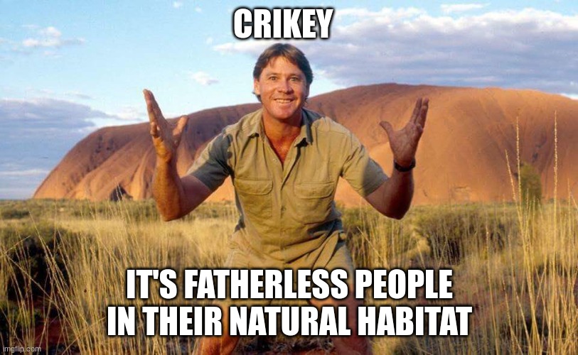Steve Irwin Crocodile Hunter  | CRIKEY IT'S FATHERLESS PEOPLE IN THEIR NATURAL HABITAT | image tagged in steve irwin crocodile hunter | made w/ Imgflip meme maker