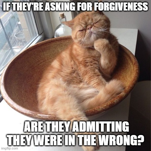Wondering cat | IF THEY'RE ASKING FOR FORGIVENESS ARE THEY ADMITTING THEY WERE IN THE WRONG? | image tagged in wondering cat | made w/ Imgflip meme maker