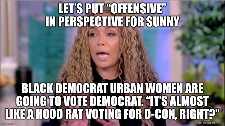 The View's Sunny Hostin compares white suburban Republican women to ROACHES? | LET’S PUT “OFFENSIVE” IN PERSPECTIVE FOR SUNNY; BLACK DEMOCRAT URBAN WOMEN ARE GOING TO VOTE DEMOCRAT. “IT’S ALMOST LIKE A HOOD RAT VOTING FOR D-CON, RIGHT?” | image tagged in the view,sunny hostin,2022 midterm elections | made w/ Imgflip meme maker